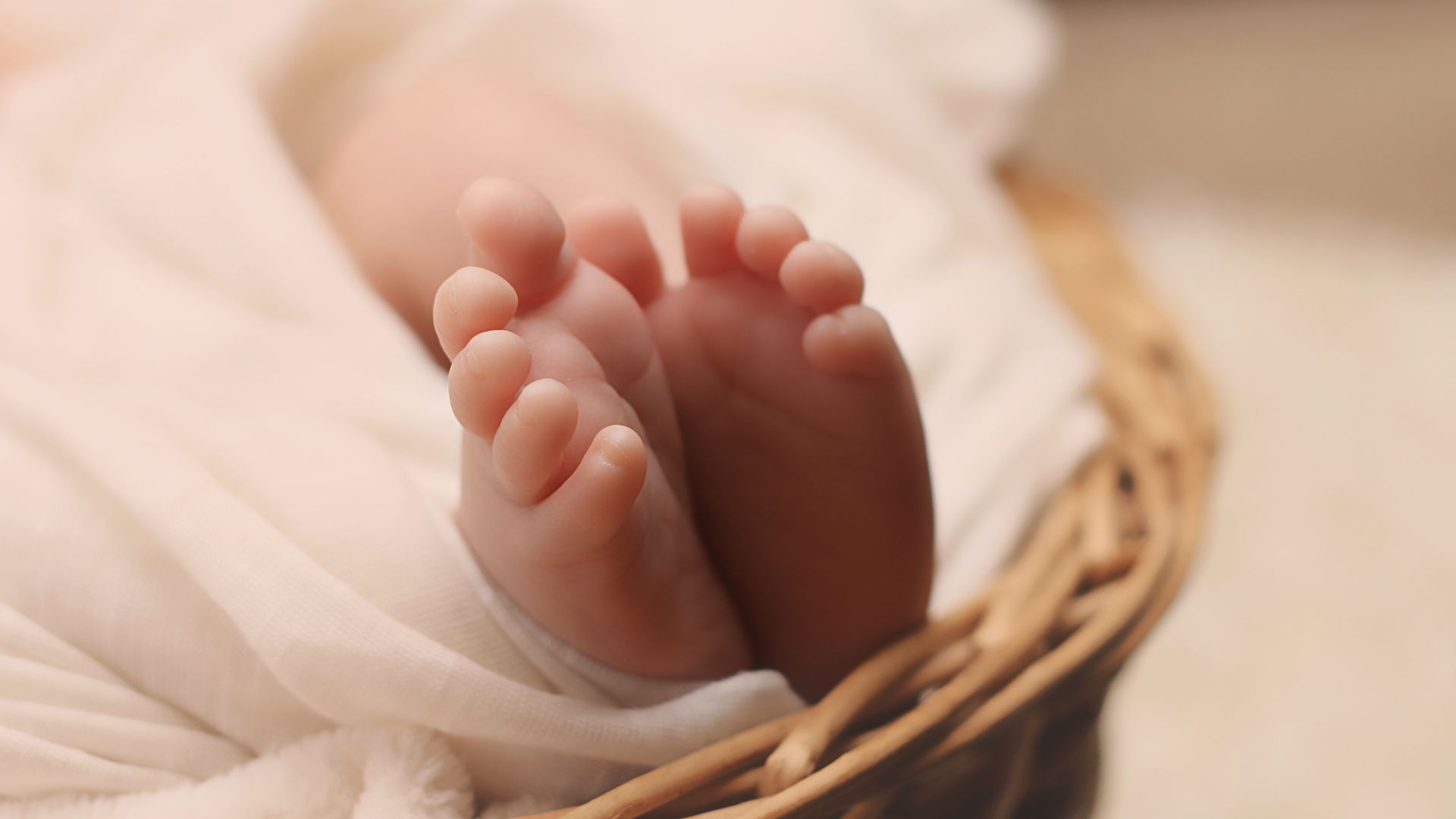 snoozy monkey great gifts for newborns